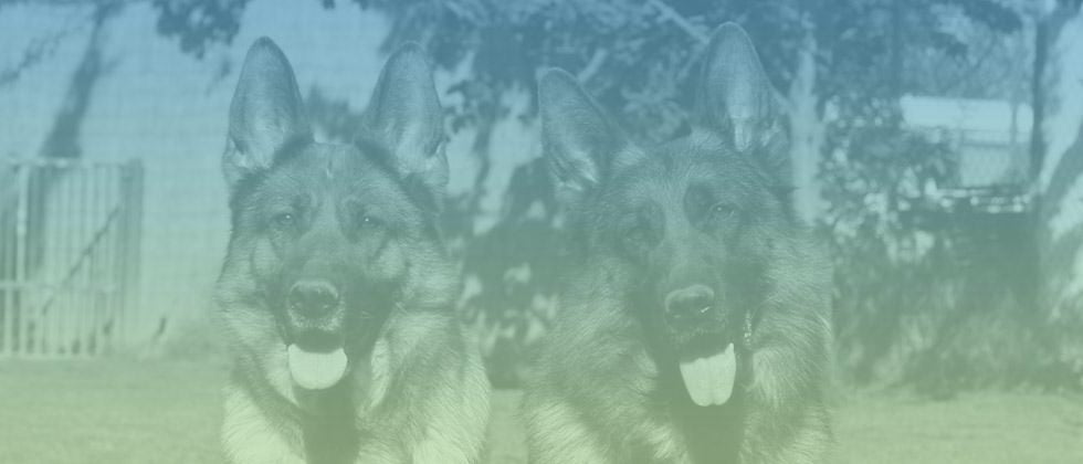 Header01